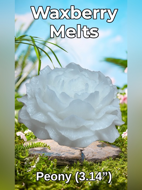 Waxberry Melts Other - Large White Peony Wax Melt in Papaya Smoothie Scent